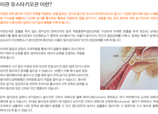 �̰� ����ŸŰ���� �̶�?