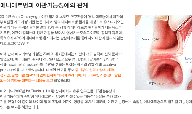 �޴Ͽ������� �̰��������� ����-���̰��� �з������� �ְ��� ����� �����̰� �������� �зº�ȭ�� �ְ��� �ʷ��Ǿ� �޴Ͽ������� ������ �����Ǵµ� ������ ��ģ�ٴ� ������ �����Ͽ����ϴ�.